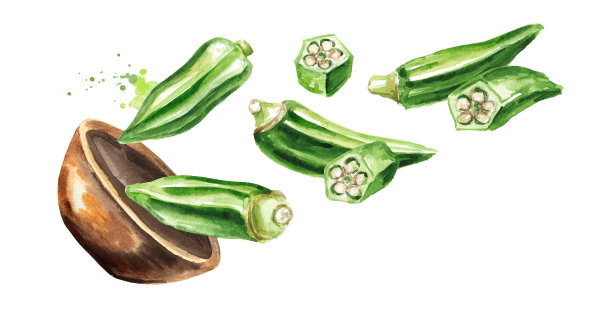 一碗新鲜的秋葵。手绘水彩插图，孤立的白色背景图片下载
