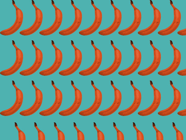 香蕉类食物图片下载