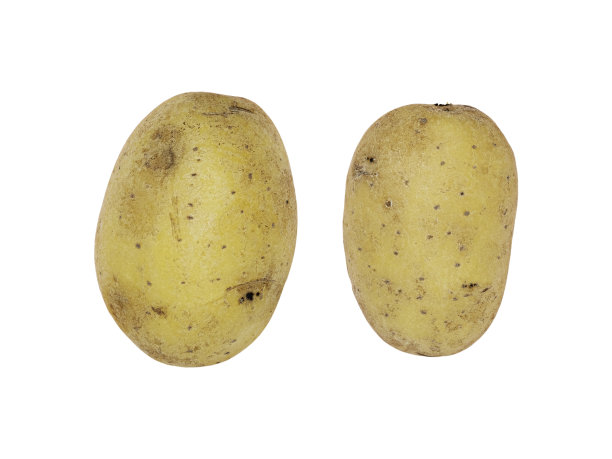 单一的剪裁土豆图片下载