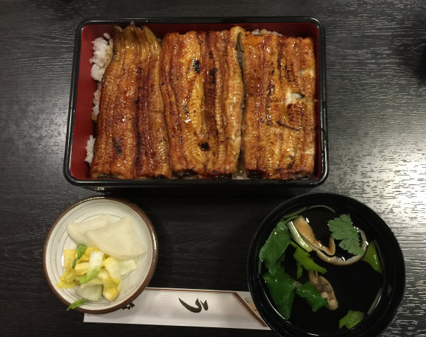 烹饪用的大鳗鱼图片下载