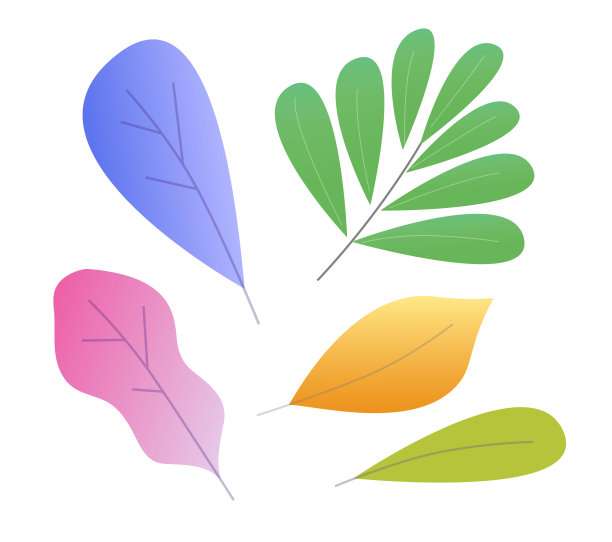 叶或植物叶彩色矢量平面卡通最小孤立设计插图，抽象梯度粉彩草药剪贴图像图片下载