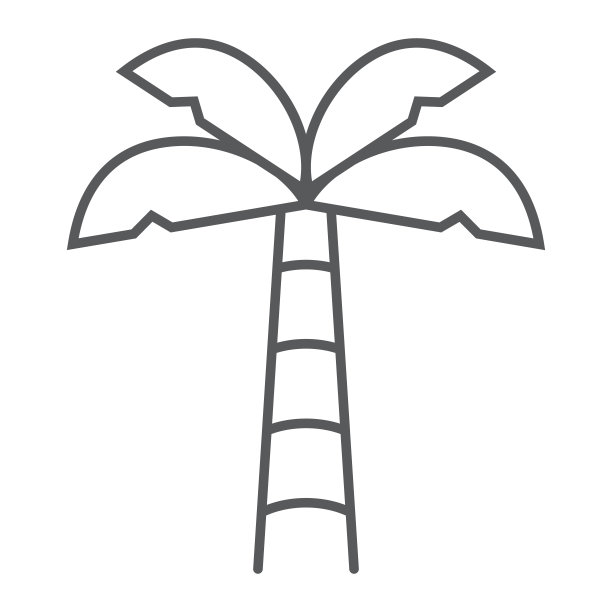 棕榈树细线图标，夏季和海滩，棕榈符号矢量图形，白色背景上的线性图标，eps 10。图片下载