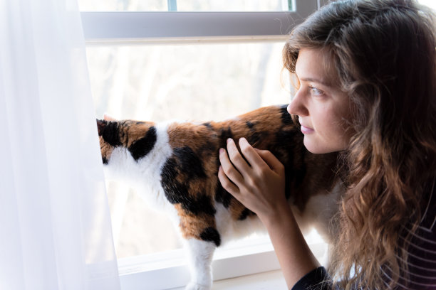 年轻女子与印花布猫的亲密关系的特写，站在窗台旁边的窗户看在窗帘后面盯着外面图片下载