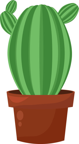 绿色仙人掌盆景家花园植物室内植物图片下载