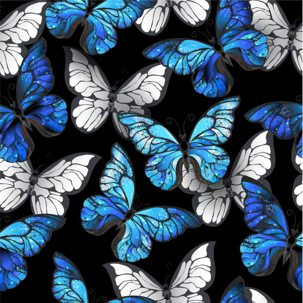 黑色无缝图案与蓝色蝴蝶图片下载