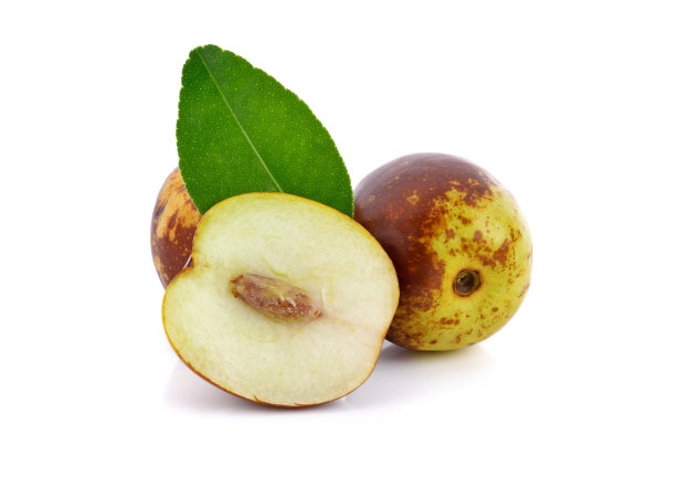 白底绿叶枣图片下载