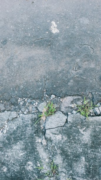 草生长在混凝土和沥青之间，自然概念库存照片图片下载