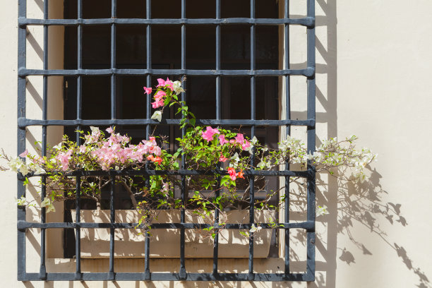 窗台上长着五颜六色的花，上面镶着条状的花图片下载