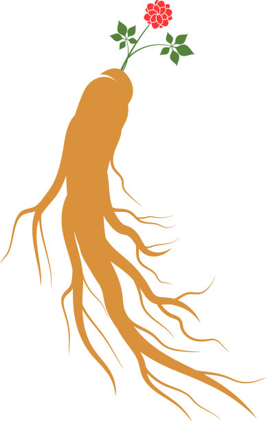 人参图标图片下载