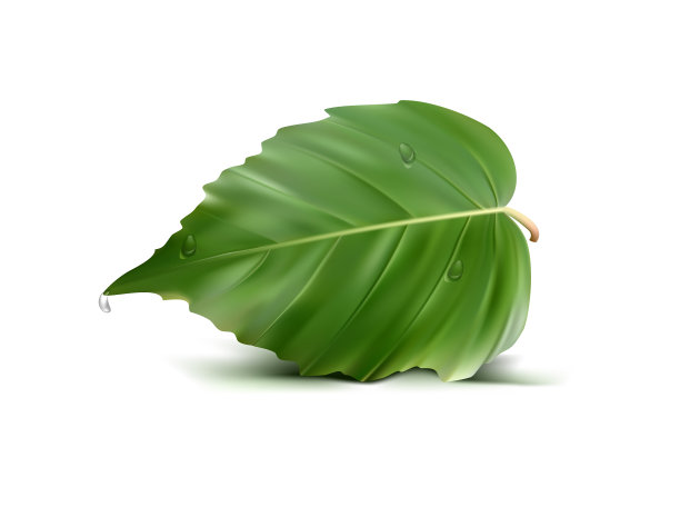 绿色的离开图片下载