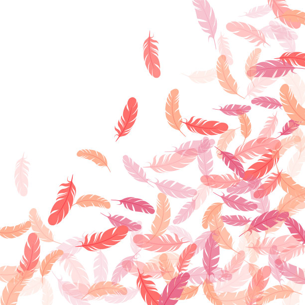 详细的宏伟羽毛上的白色设计图片下载