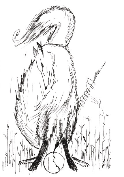 黑白手绘插图的狐狸与球和箭图片下载