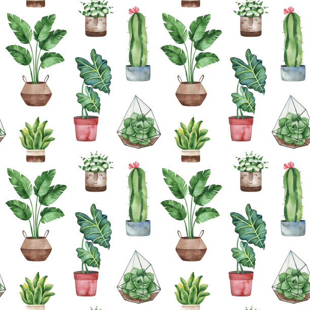 水彩盆栽植物纹理图片下载