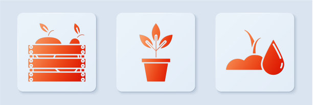 放置鲜花在花盆木箱水果和图片下载