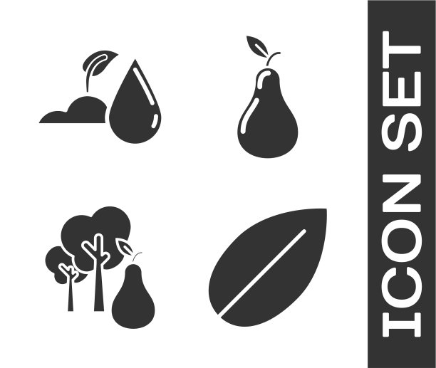 设叶浇芽树用梨和图片下载