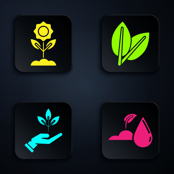 设浇水芽花植物在手图片下载