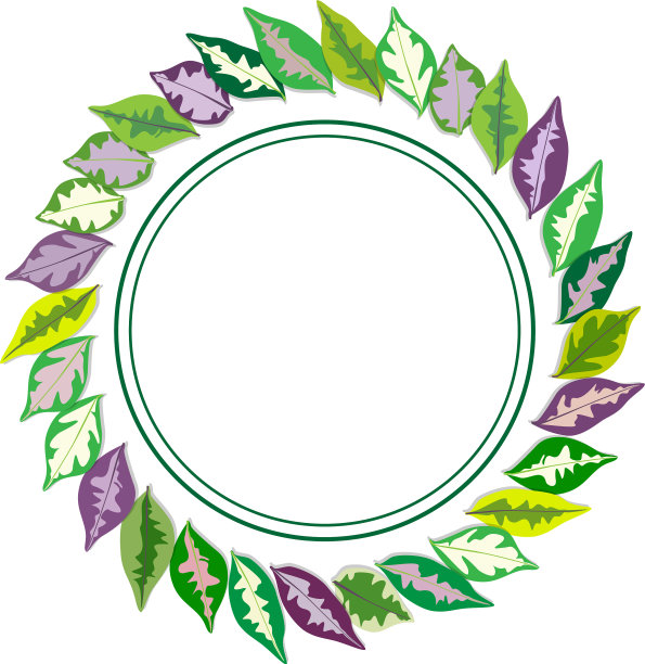 绿色漫画植物叶子框架上的白色图片下载