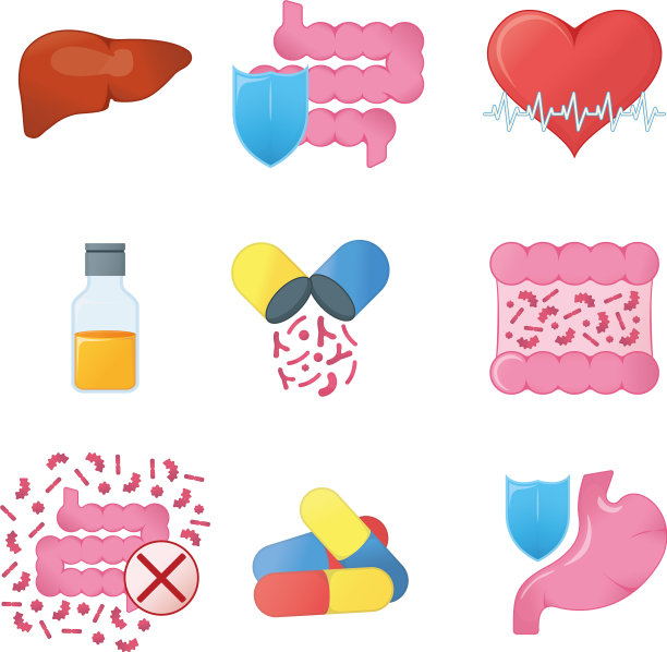 设置胃肠道概念图标和图片下载