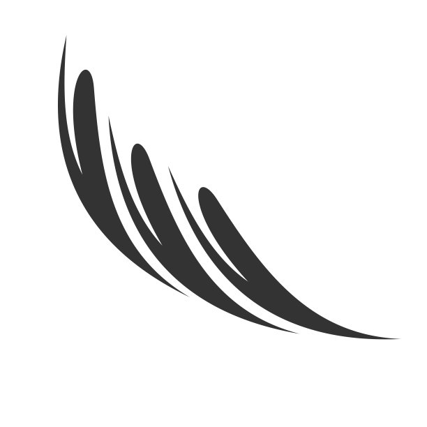 抽象羽毛标志模板插图设计。向量EPS 10。图片下载