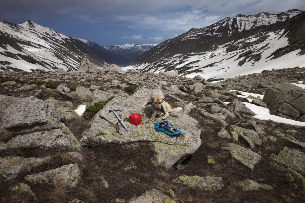 狗在大石头上，带着登山装备:蓝色的雪鞋，红色的登山头盔和冰斧图片下载