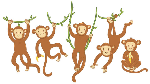 一组可爱的猴子孤立在一个白色的背景。矢量图形。图片下载