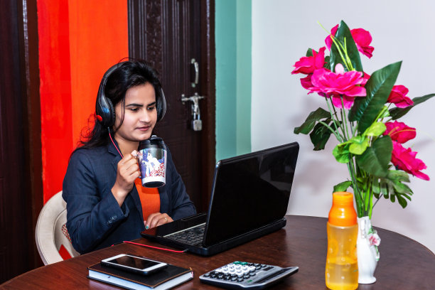 商业女性通过笔记本电脑在家办公图片下载