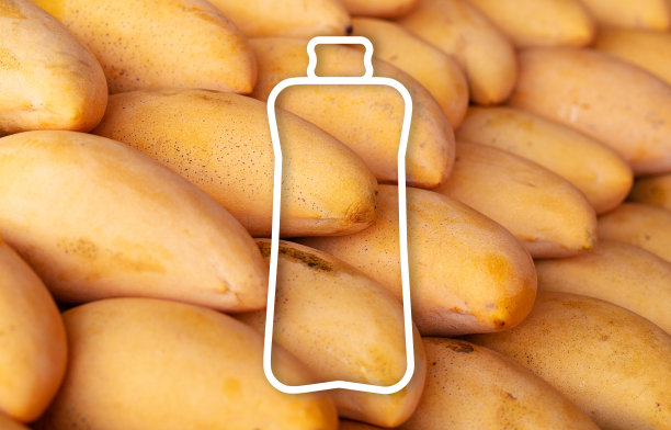 模型瓶在芒果的背景。芒果汁图片下载