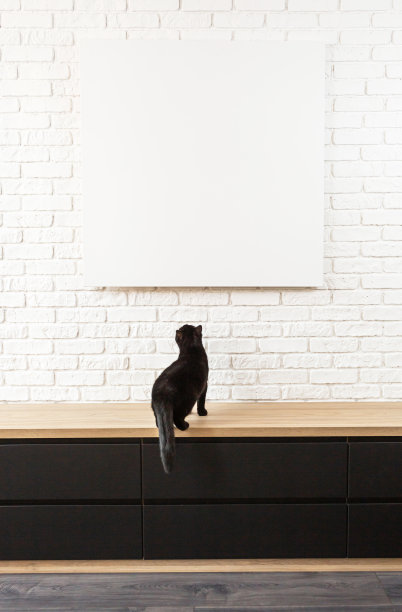 垂直的大白色砖墙和画布碎片在中心与文字的地方。黑猫坐在一张木桌上，看着一张空白的海报，上面有文字。在家里搞宠物恶作剧图片下载