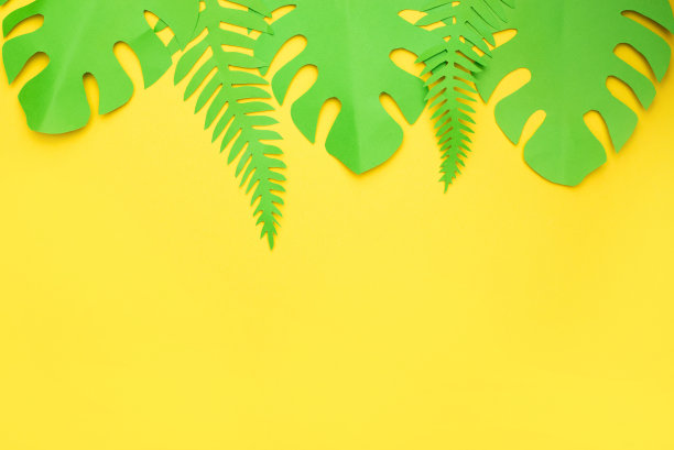 夏季棕榈叶剪纸风格上的黄色背景与复制空间图片下载