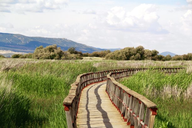 代密尔表图片下载