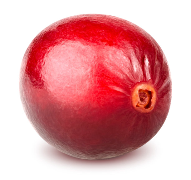 孤立的蔓越莓浆果图片下载