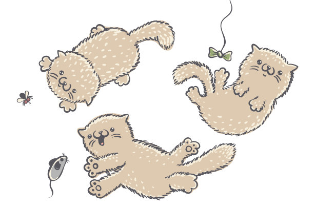 可爱的猫咪和玩具图片下载