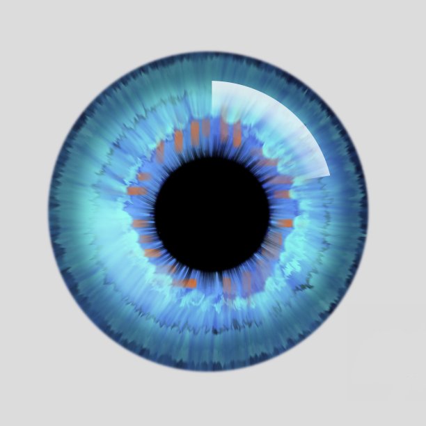 精致的眼睛图片下载