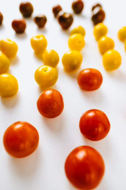 品种的樱桃番茄在线分离。图片下载