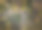公园里小路的交叉处图片下载