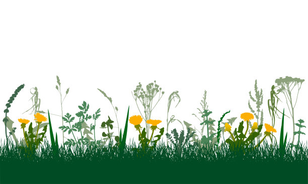 春天的草地上，花花绿绿，杂草丛生。矢量图图片下载