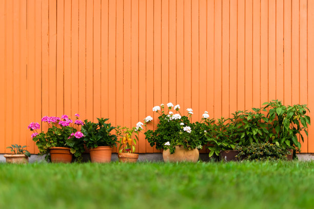 花园花盆的地面视图图片下载