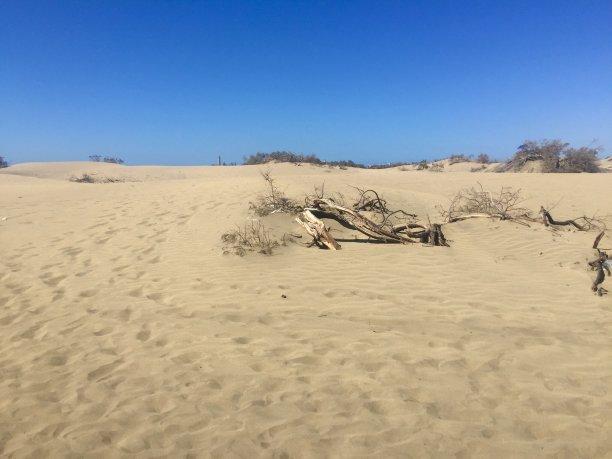 Maspalomas沙丘图片下载