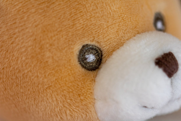 婴儿的泰迪熊图片下载