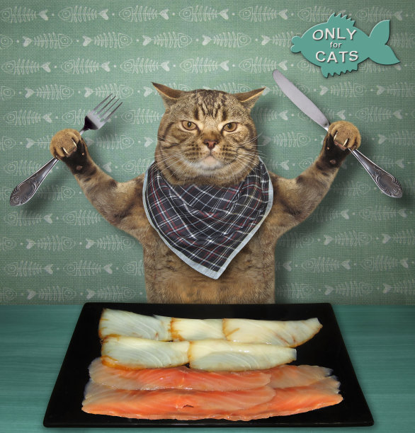 猫在自助餐厅吃熏鱼图片下载