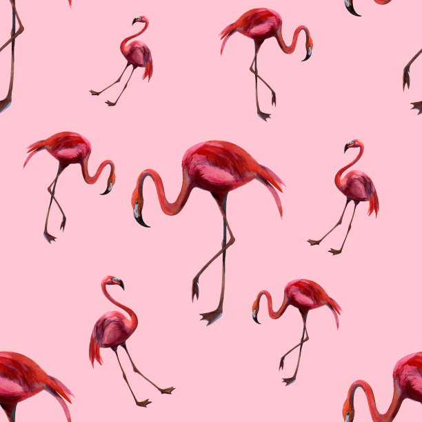 水彩无缝图案与火烈鸟。手绘装饰背景。手绘水彩插图。印刷纺织品，布料，墙纸，剪贴簿图片下载