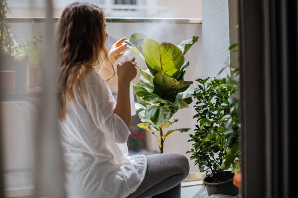 可爱的家庭主妇在花盆和园艺设置花图片下载