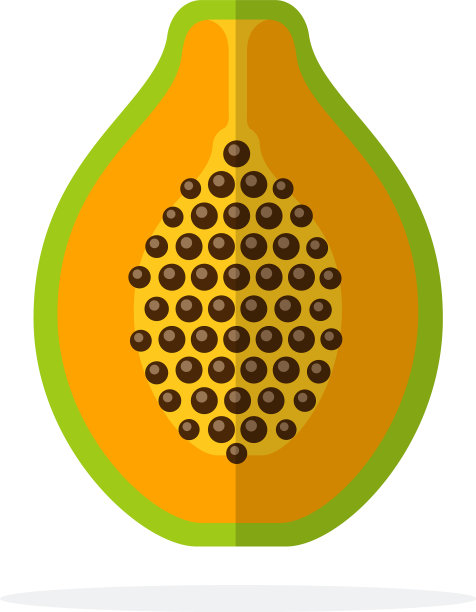 半木瓜垂直扁平孤立图片下载