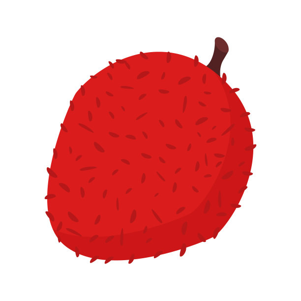 荔枝等距图标。图片下载