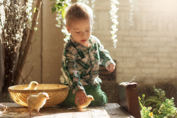 孩子在和小兔子、小鸭、小鸡玩图片下载
