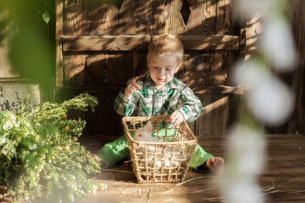 孩子在和小兔子、小鸭、小鸡玩图片下载