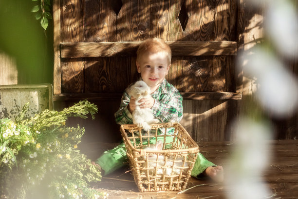 孩子在和小兔子、小鸭、小鸡玩图片下载