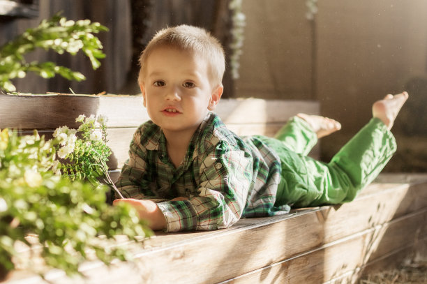 孩子在和小兔子、小鸭、小鸡玩图片下载