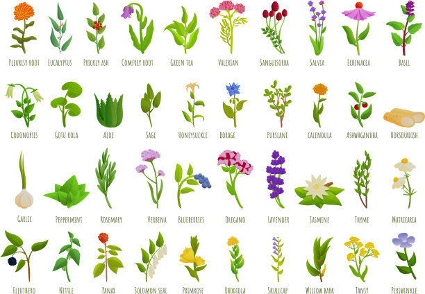 草药图标设置卡通风格图片下载