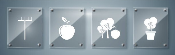 在盆栽树和苹果树苹果树和花园图片下载